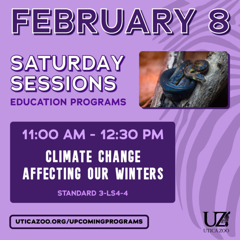 475112189 1180376177429075 8947716905329484445 n