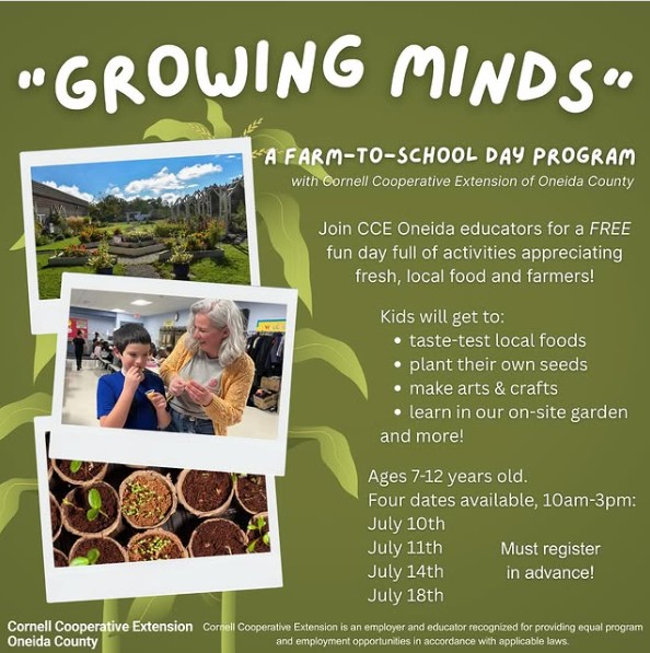 Growing Minds