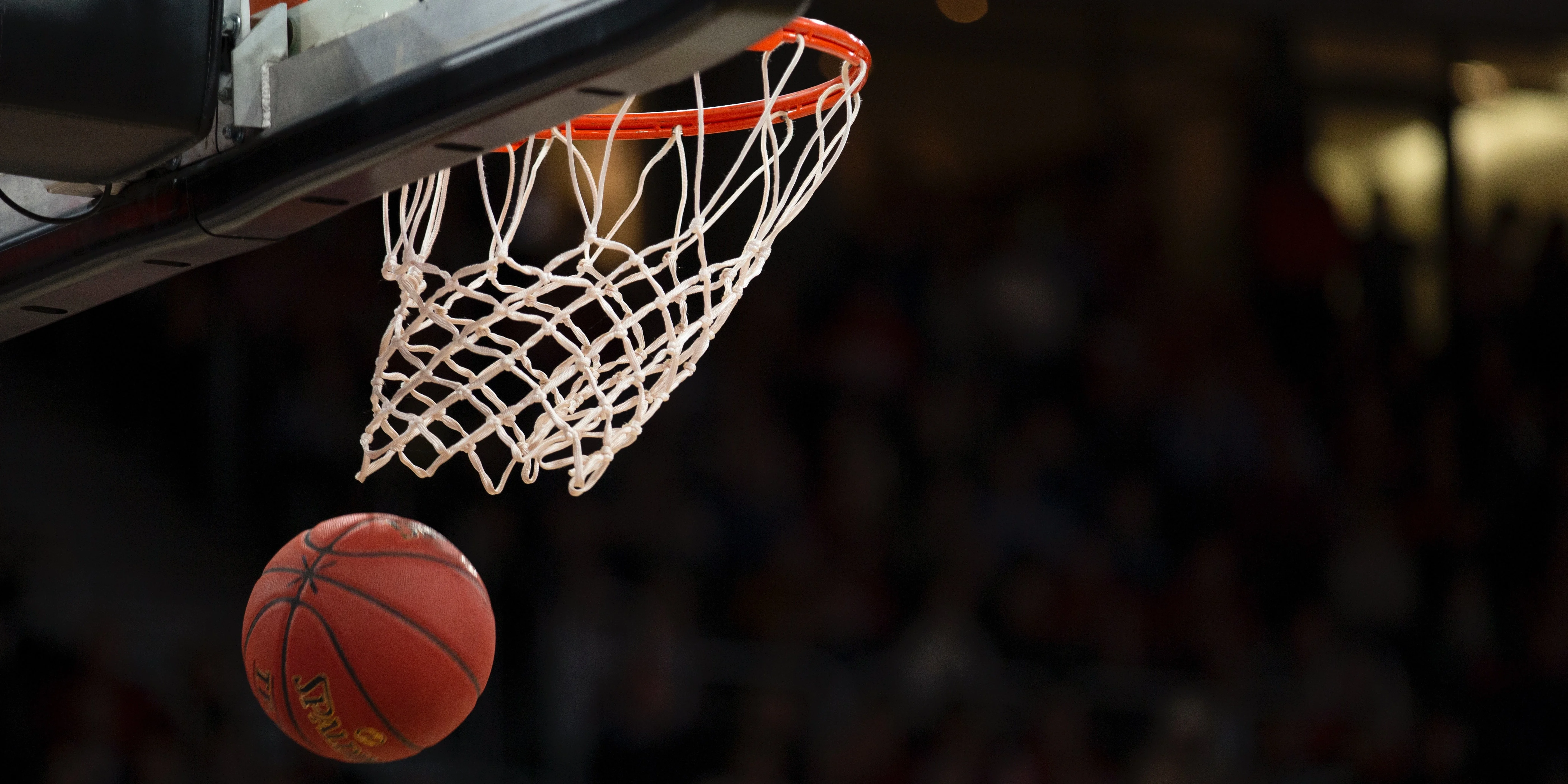 Training Basketball Players 1